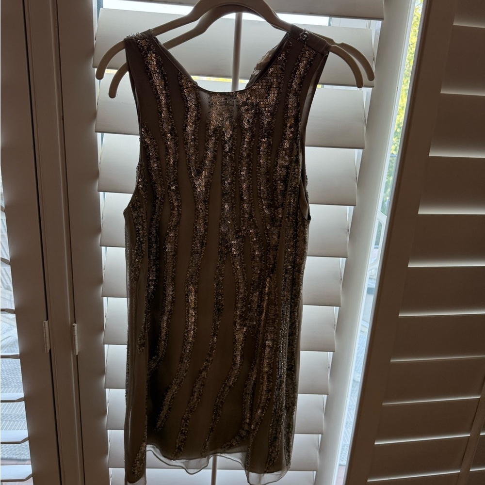 Parker Silver Sequin Dress